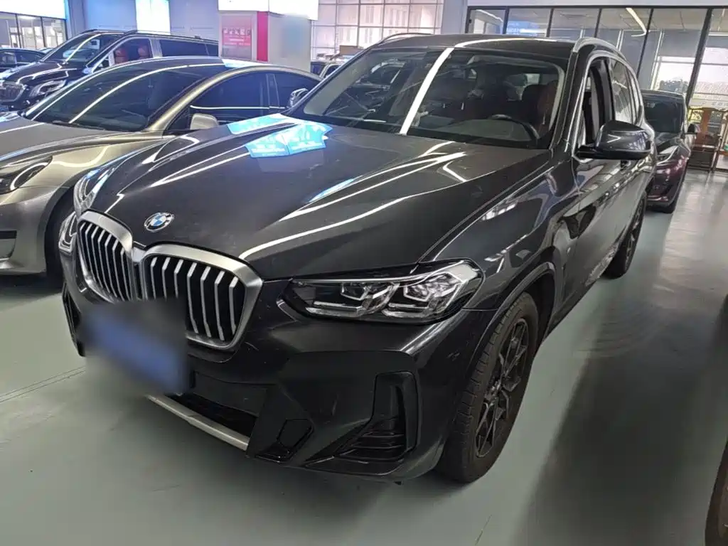 BMW X3 — миниатюра 2