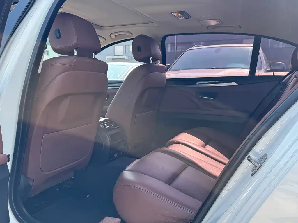 BMW 5 Series 5 2014 525Li Lead