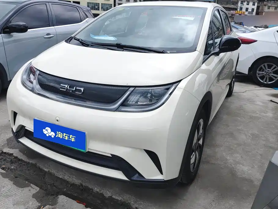 BYD Dolphin 2025 420km Free Edition
