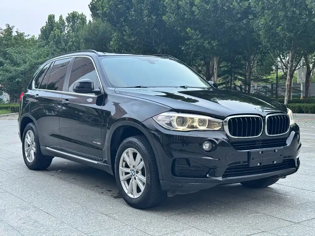 BMW X5 (Import) — миниатюра 3