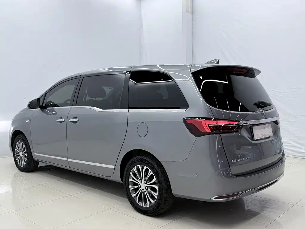 Buick GL8 — миниатюра 15