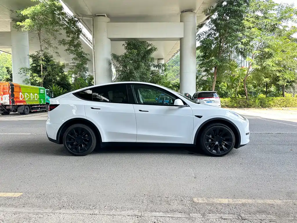 Tesla Model Y — миниатюра 7