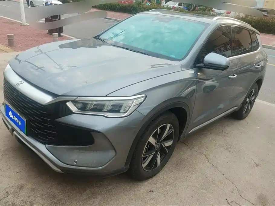 BYD Pro New Energy 2025