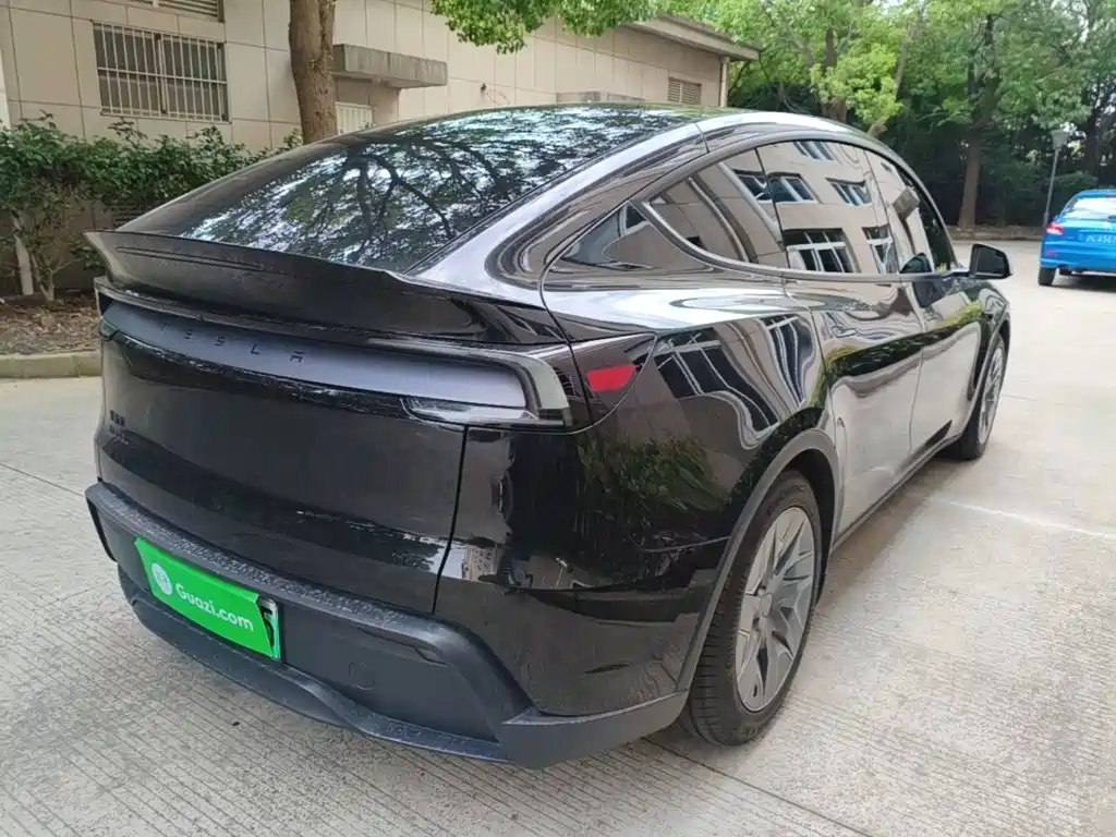 Tesla Model Y L — миниатюра 7