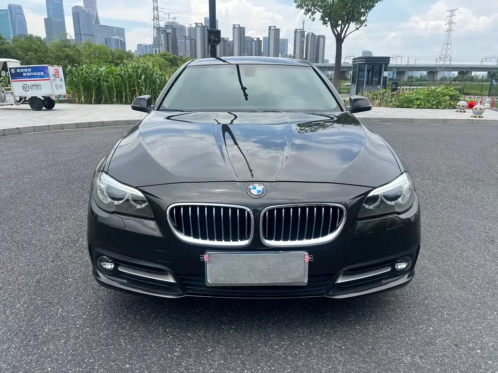 BMW 5 Series — миниатюра 2