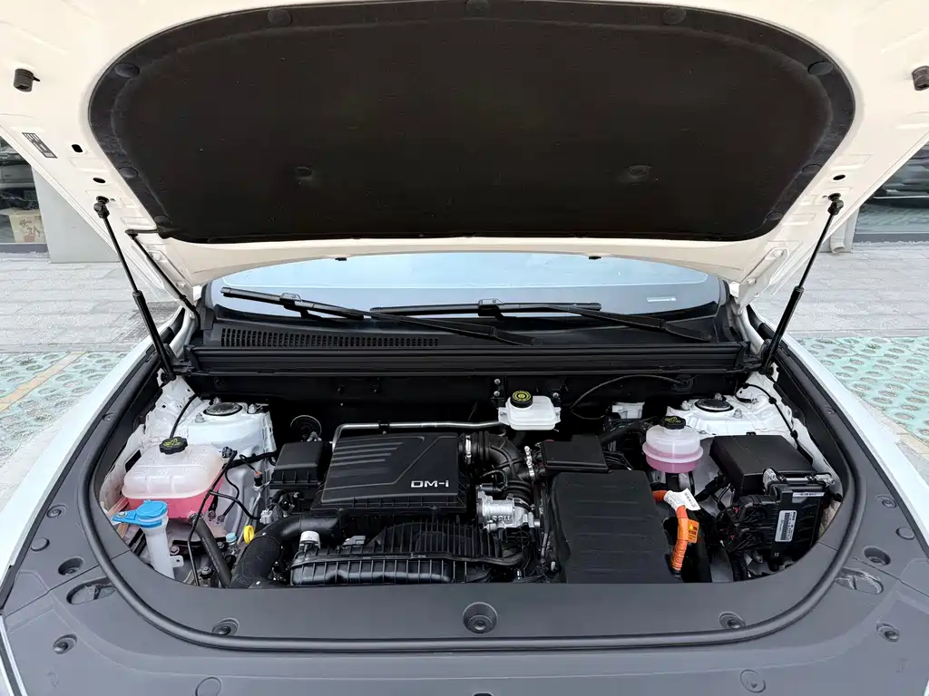 BYD Pro New Energy — миниатюра 29