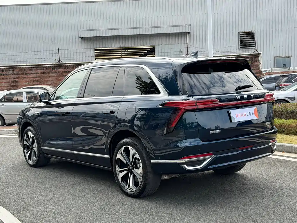 WEI PAI WEI BRAND BLUE MOUNTAIN