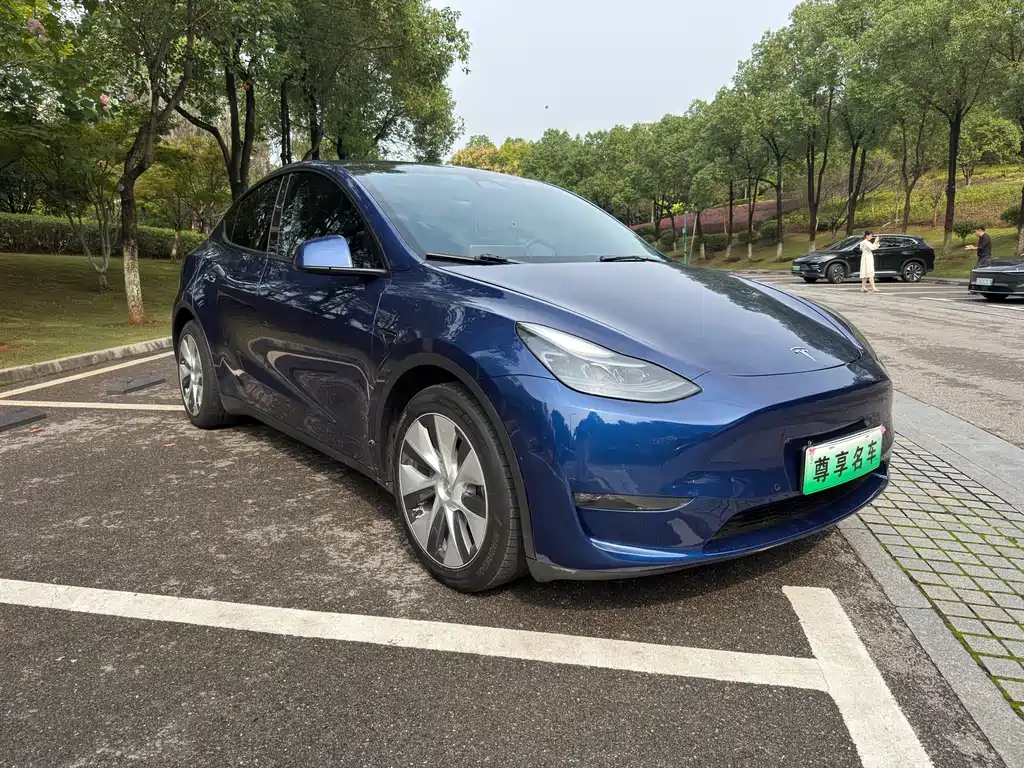 Tesla Model Y — миниатюра 3