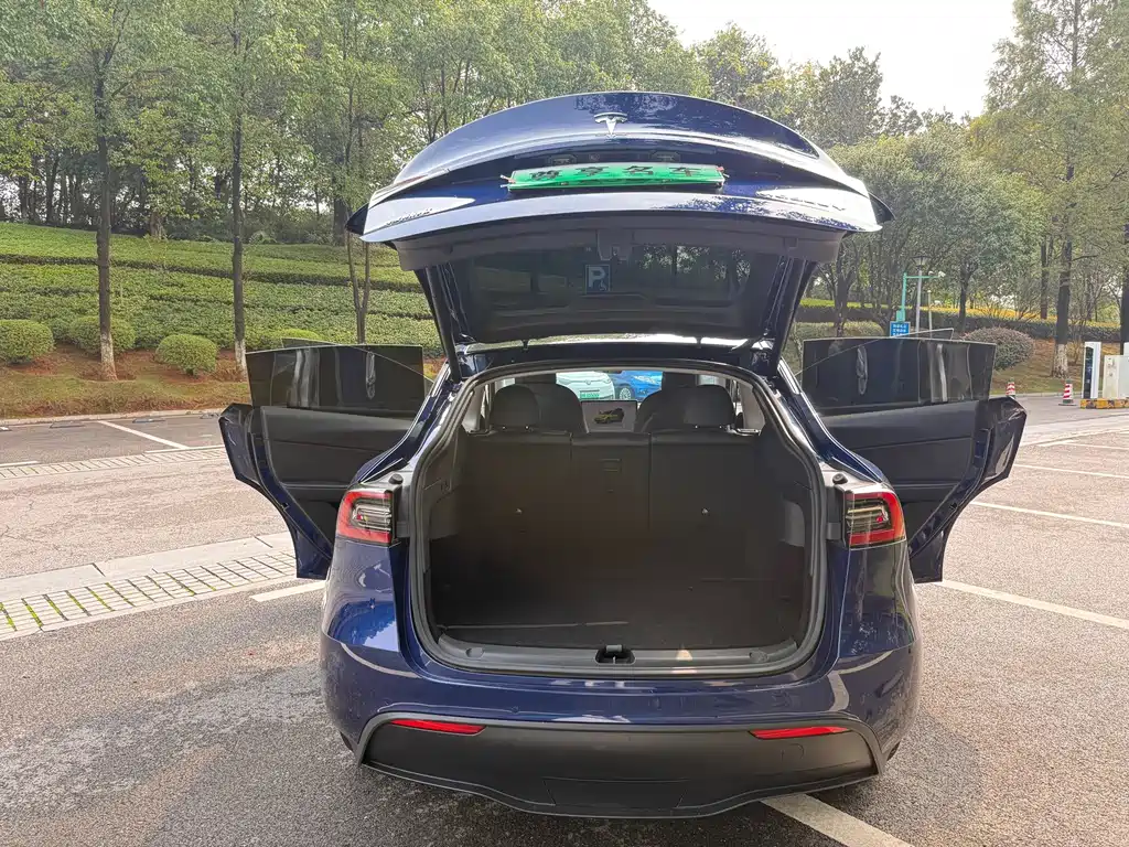 Tesla Model Y — миниатюра 11