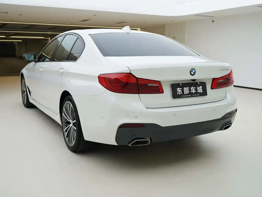 BMW 5 Series (Import) — миниатюра 5
