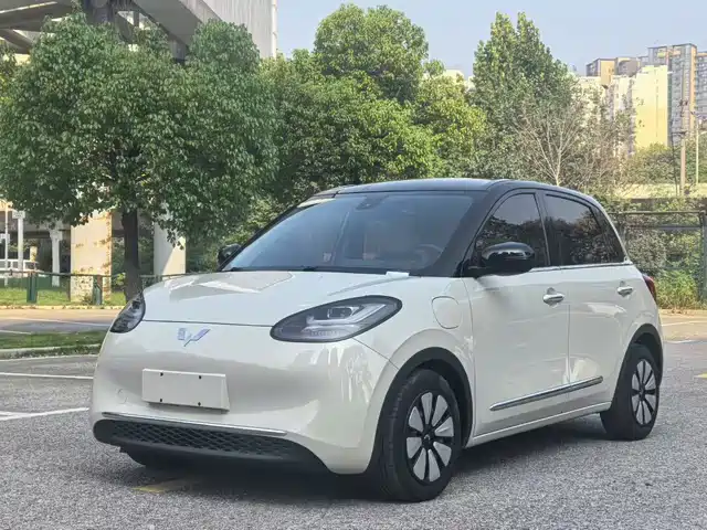 Wuling Bingo