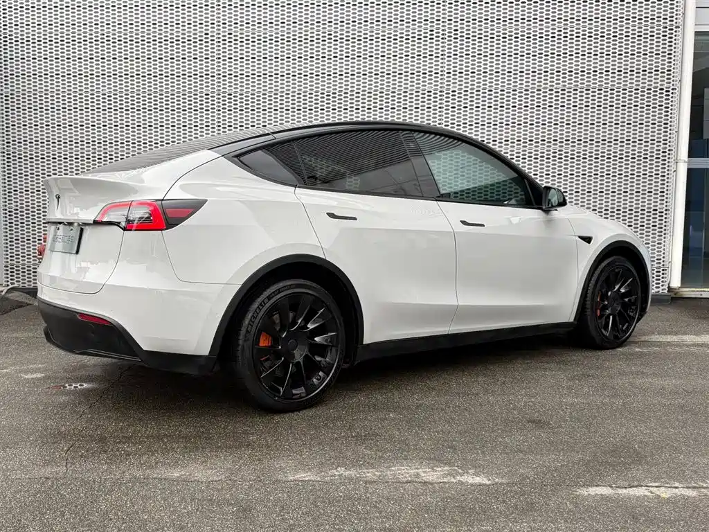 Tesla Model Y — миниатюра 4