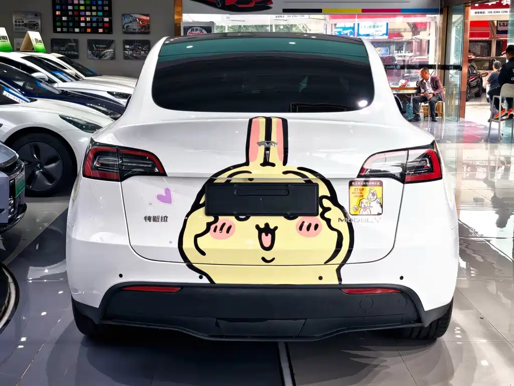 Tesla Model Y — миниатюра 10