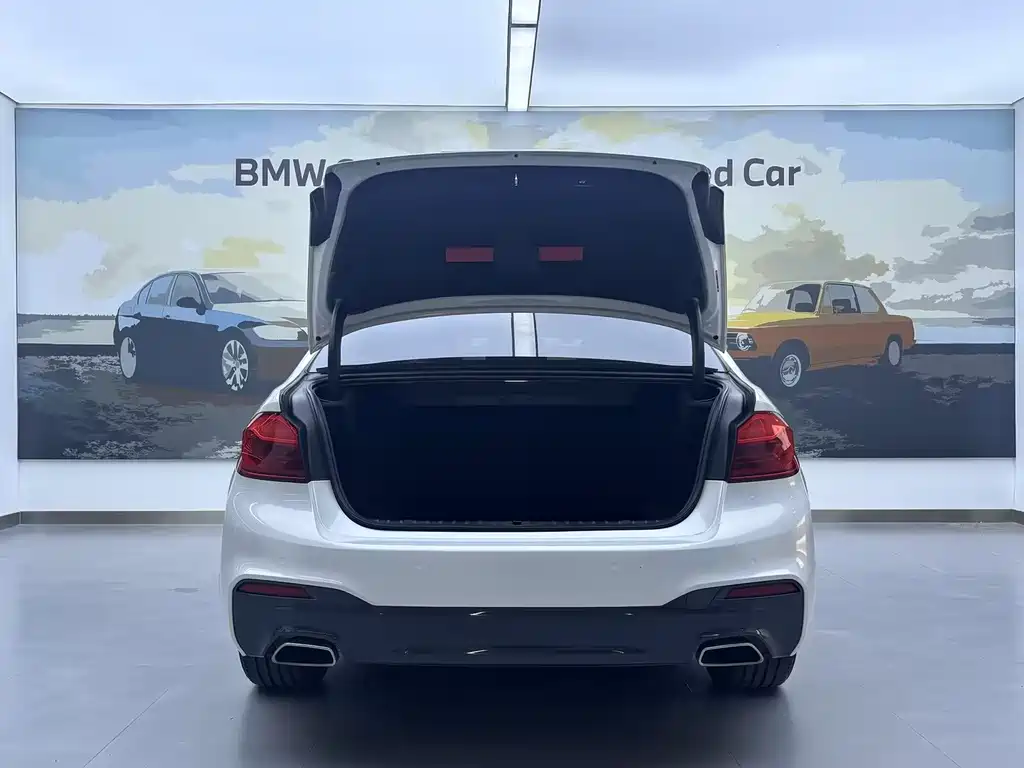 BMW 5 Series 5 2020 525Li M Sport