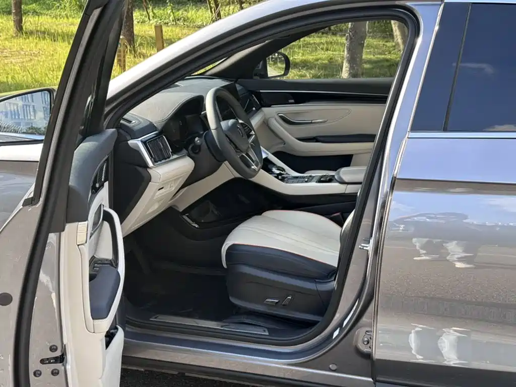 BYD PLUS New Energy — миниатюра 8