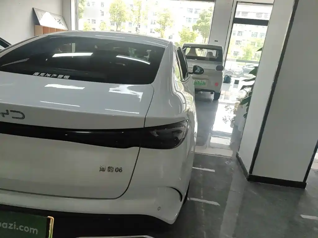 BYD Seal 06 — миниатюра 8