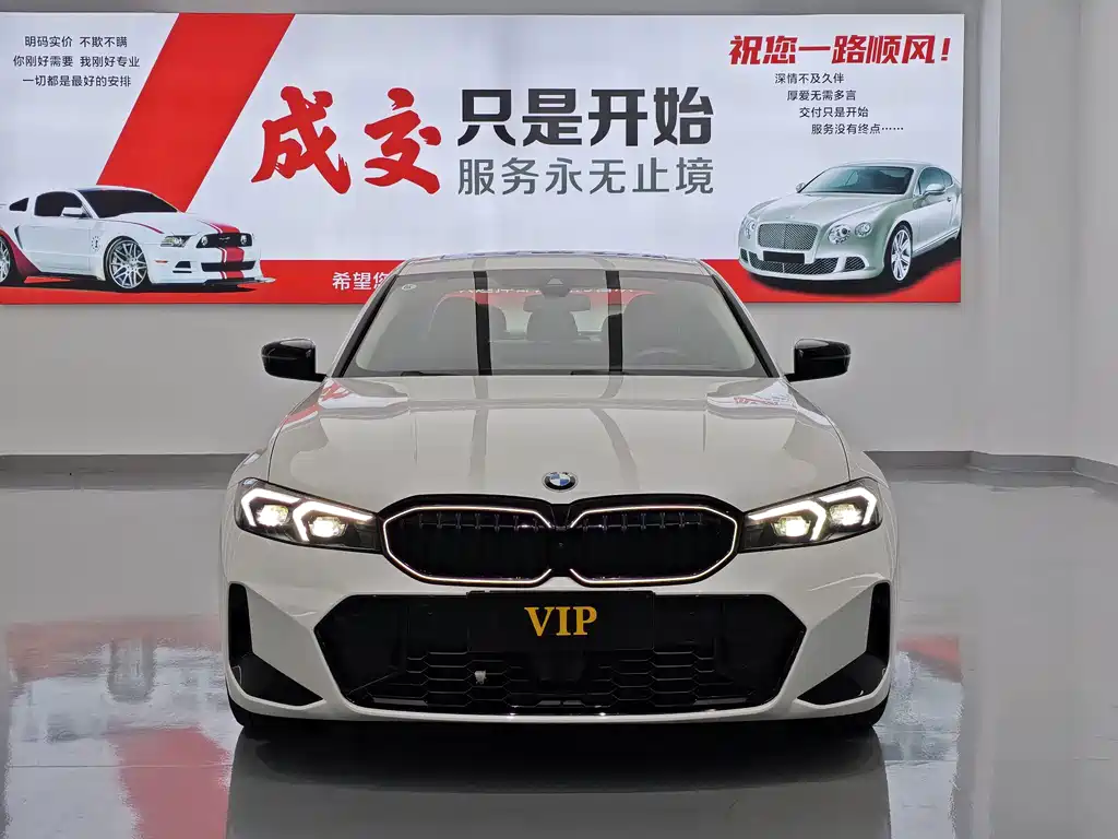 BMW 3 Series — миниатюра 2