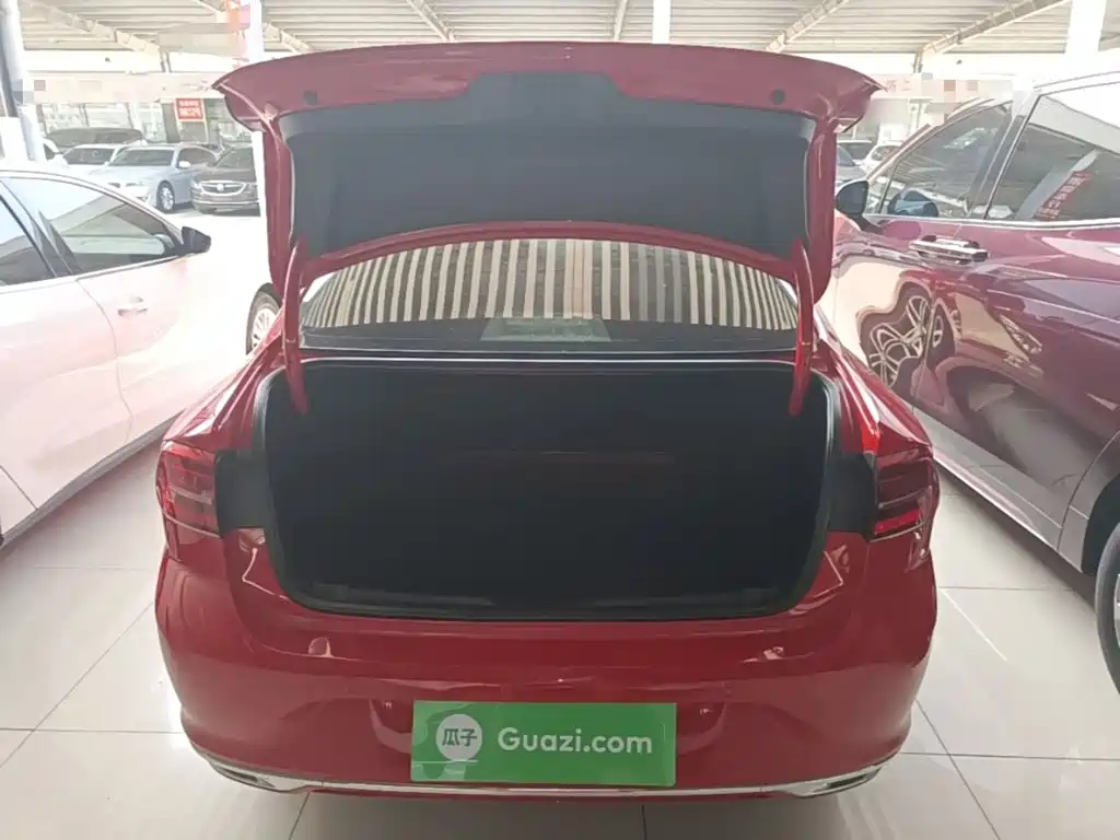 Volkswagen Lamando — миниатюра 19