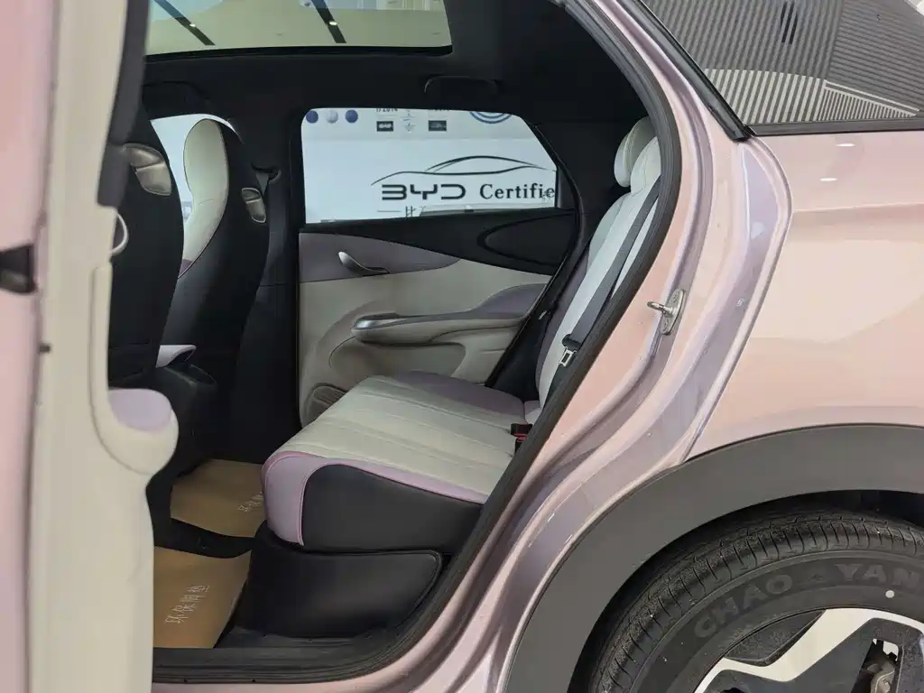 BYD Dolphin — миниатюра 3