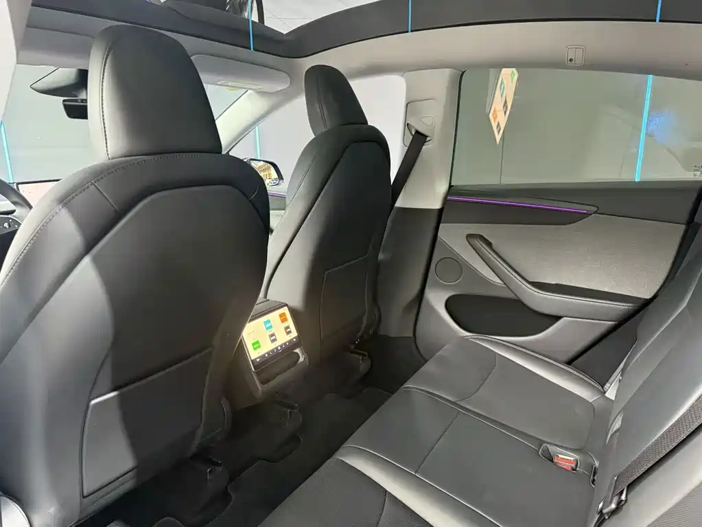 Tesla Model Y — миниатюра 10
