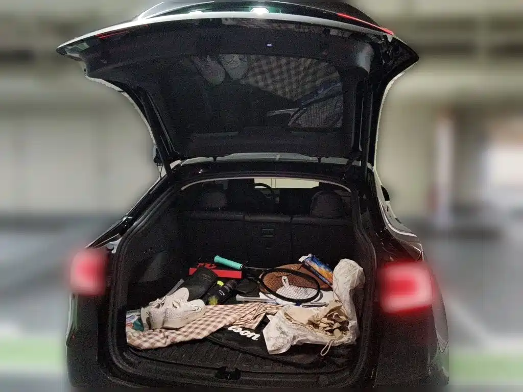 Tesla Model Y — миниатюра 10