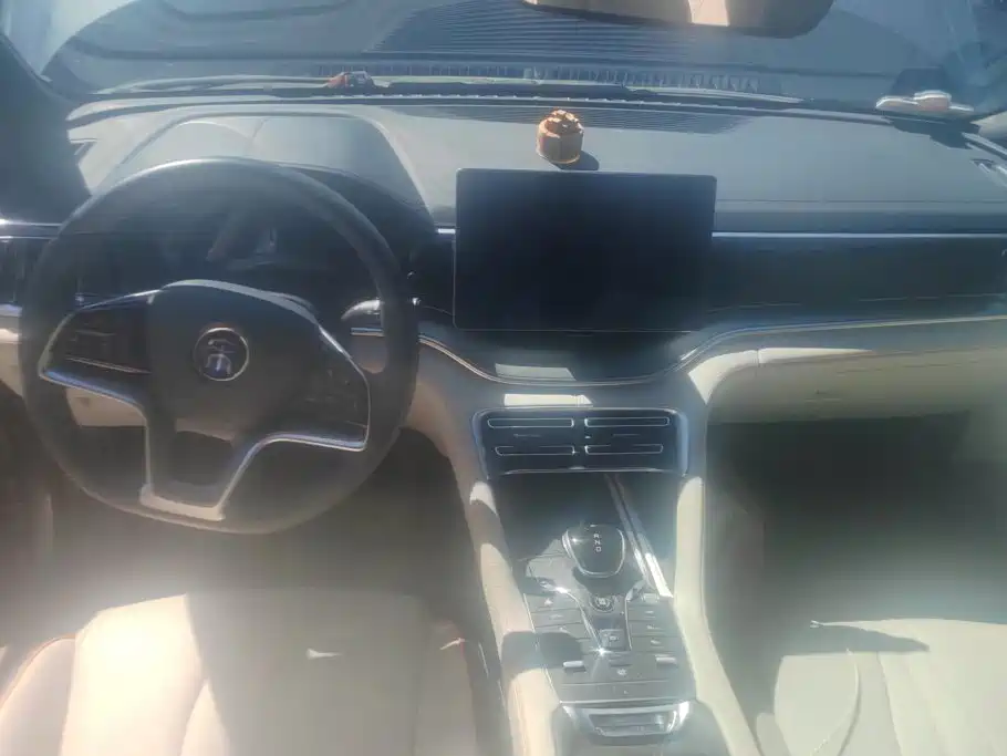 BYD PLUS New Energy — миниатюра 12