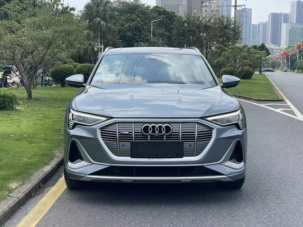 Audi e-tron — миниатюра 2