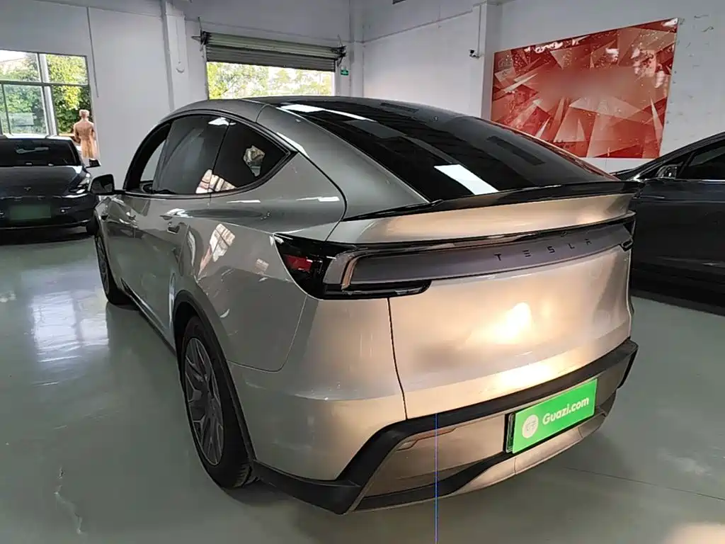 Tesla Model Y L — миниатюра 5
