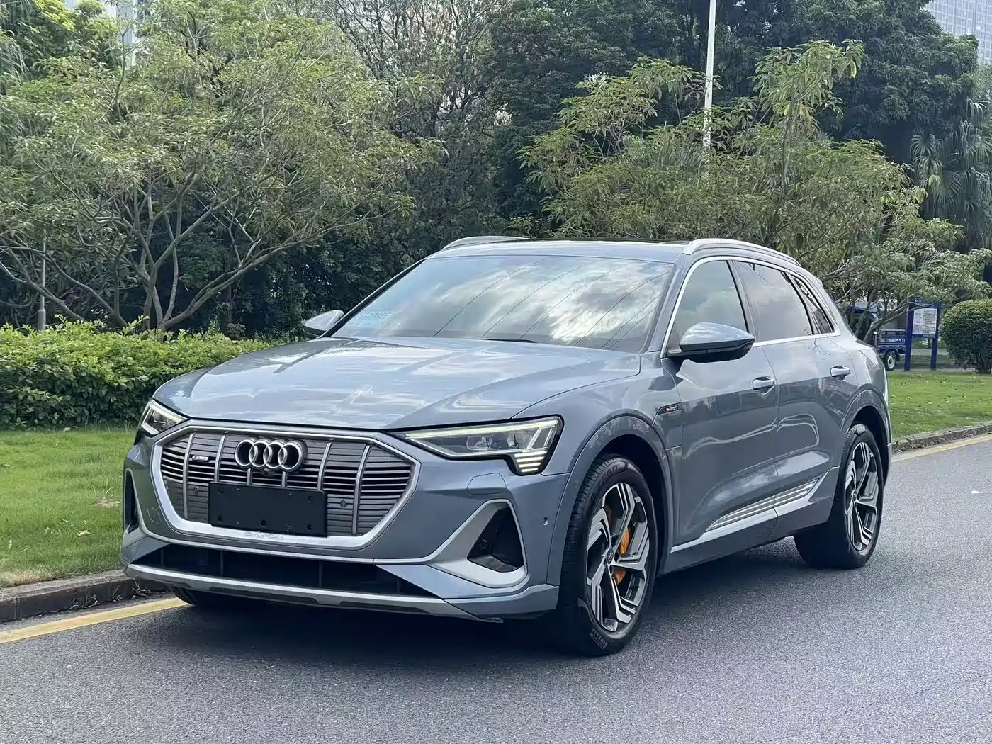 奥迪e-tron 2021款 50 quattro 臻选型 2022