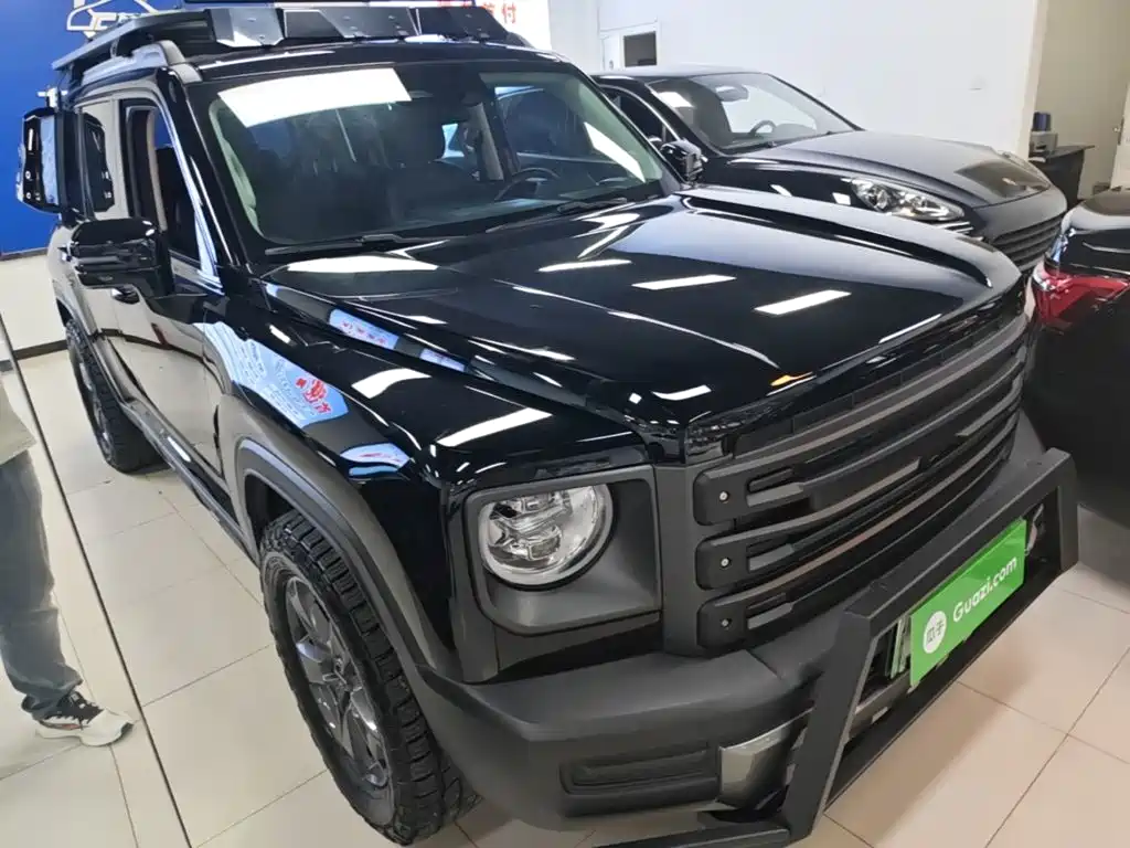 Haval Menglong New Energy — миниатюра 4