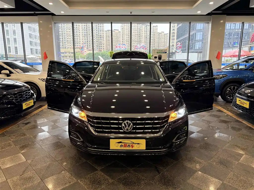 Volkswagen Passat — миниатюра 33