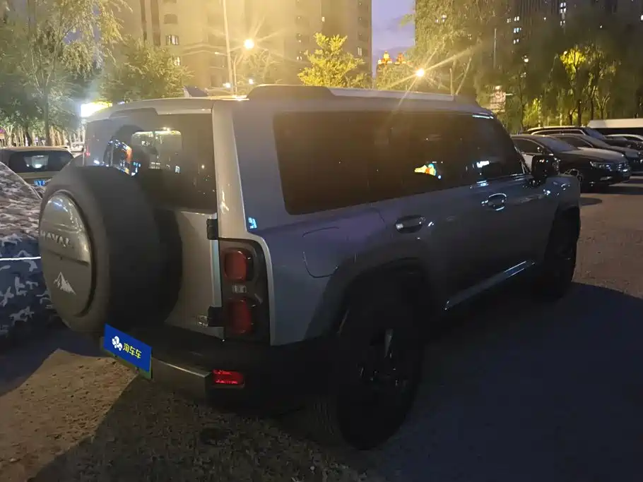 Haval Menglong New Energy — миниатюра 3