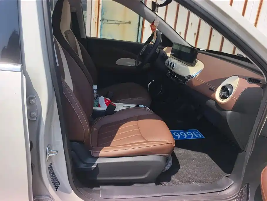 Wuling Binguo 2024 333km Enjoy