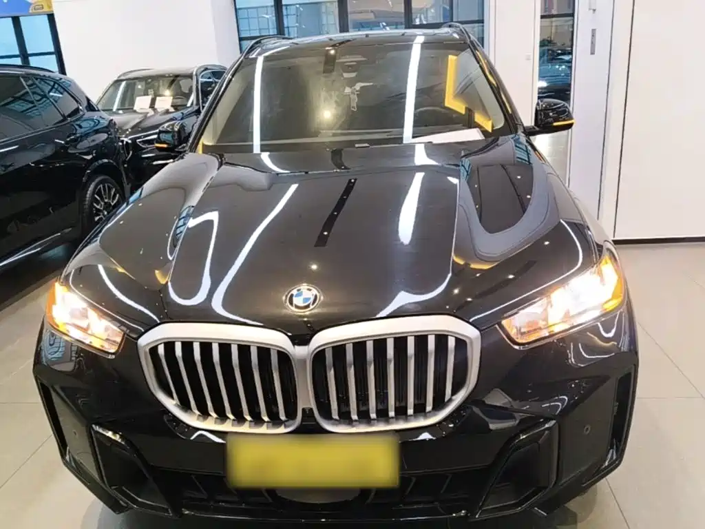 BMW X5 — миниатюра 3