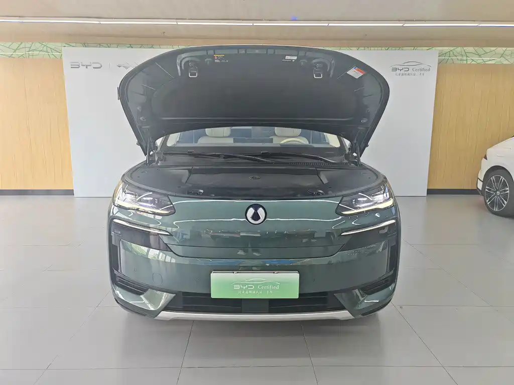 Denza Denza N9 — миниатюра 3