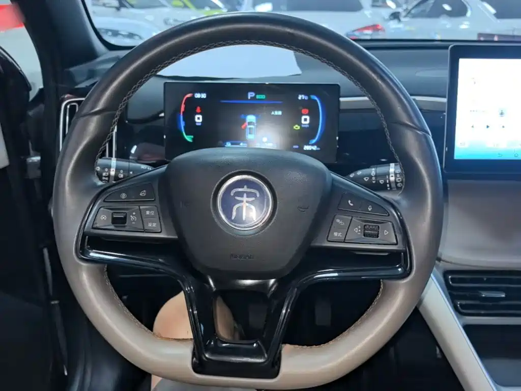BYD Pro New Energy — миниатюра 11