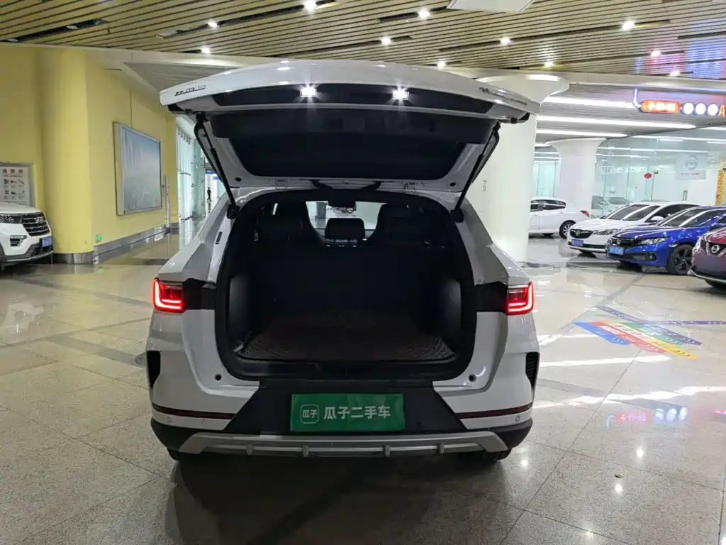 BYD PLUS — миниатюра 10