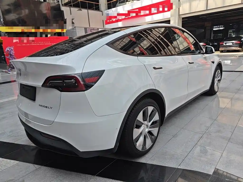 Tesla Model Y — миниатюра 7