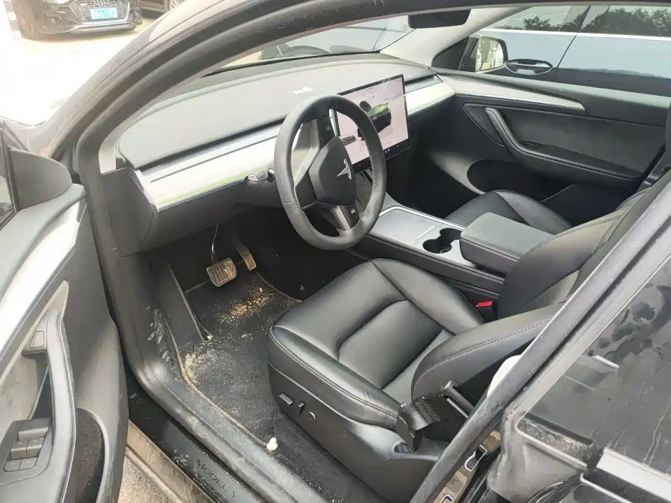 Tesla Model Y — миниатюра 3