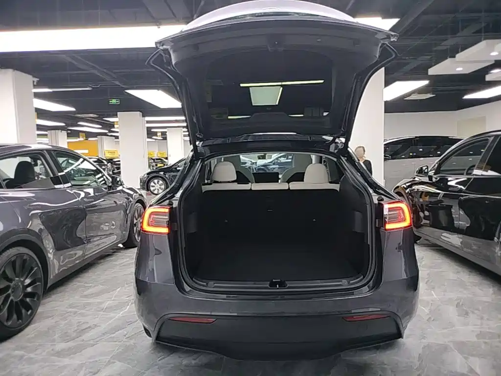 Tesla Model Y — миниатюра 19