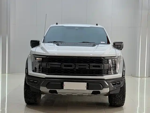 FORD F 150 RAPTOR