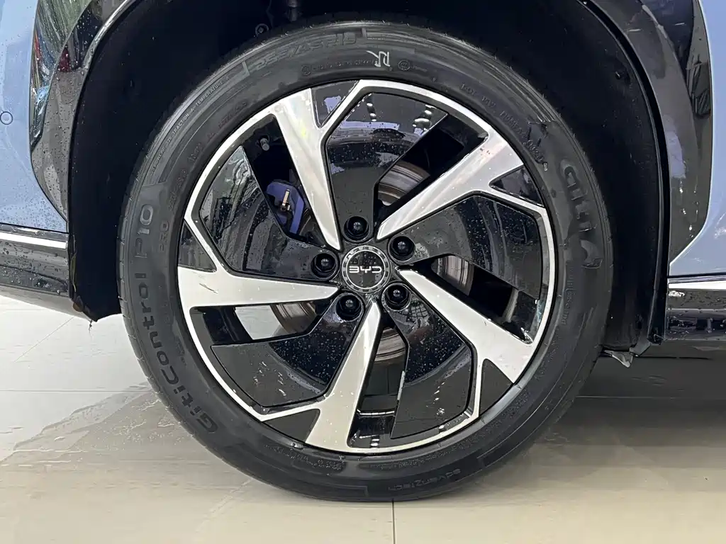 BYD 07 EV 2024 610