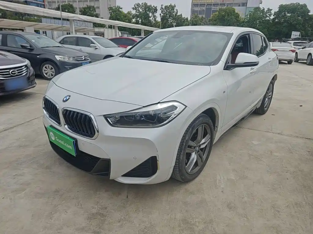 BMW X2 — миниатюра 2