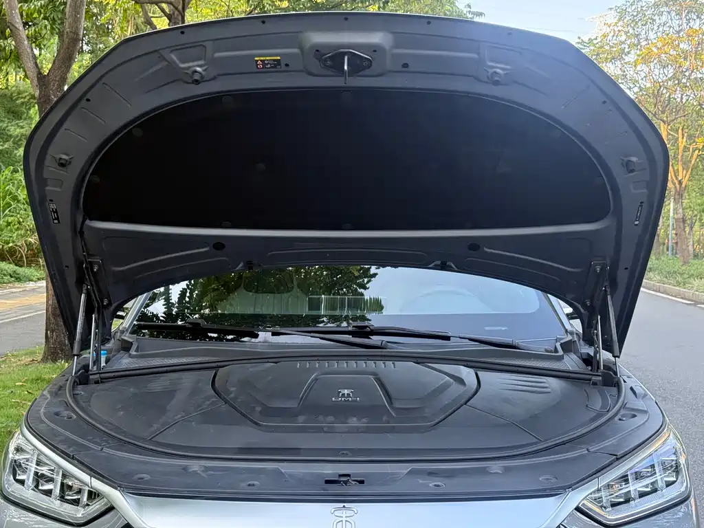 BYD PLUS New Energy — миниатюра 15