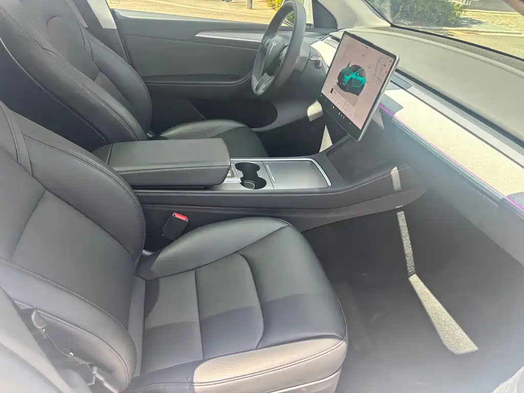 Tesla Model Y — миниатюра 13