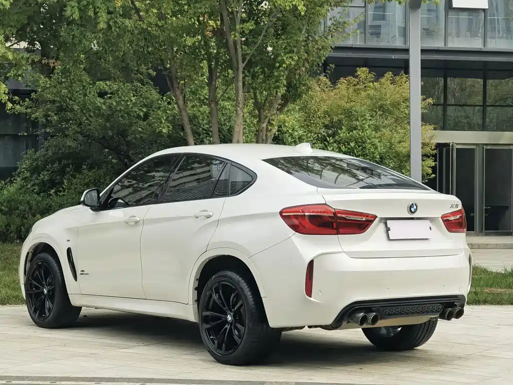 BMW X6 — миниатюра 10