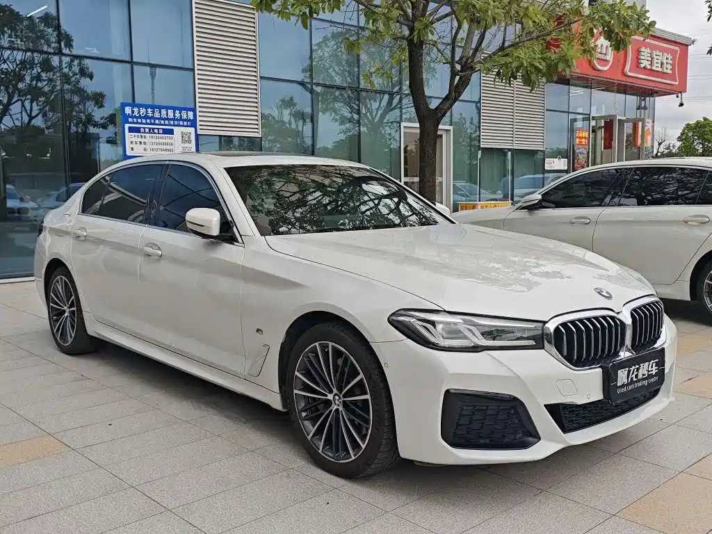 BMW 5 Series — миниатюра 3