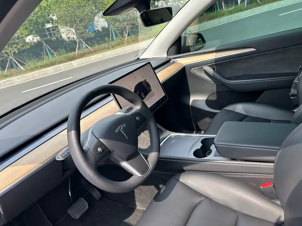 Tesla Model Y — миниатюра 3