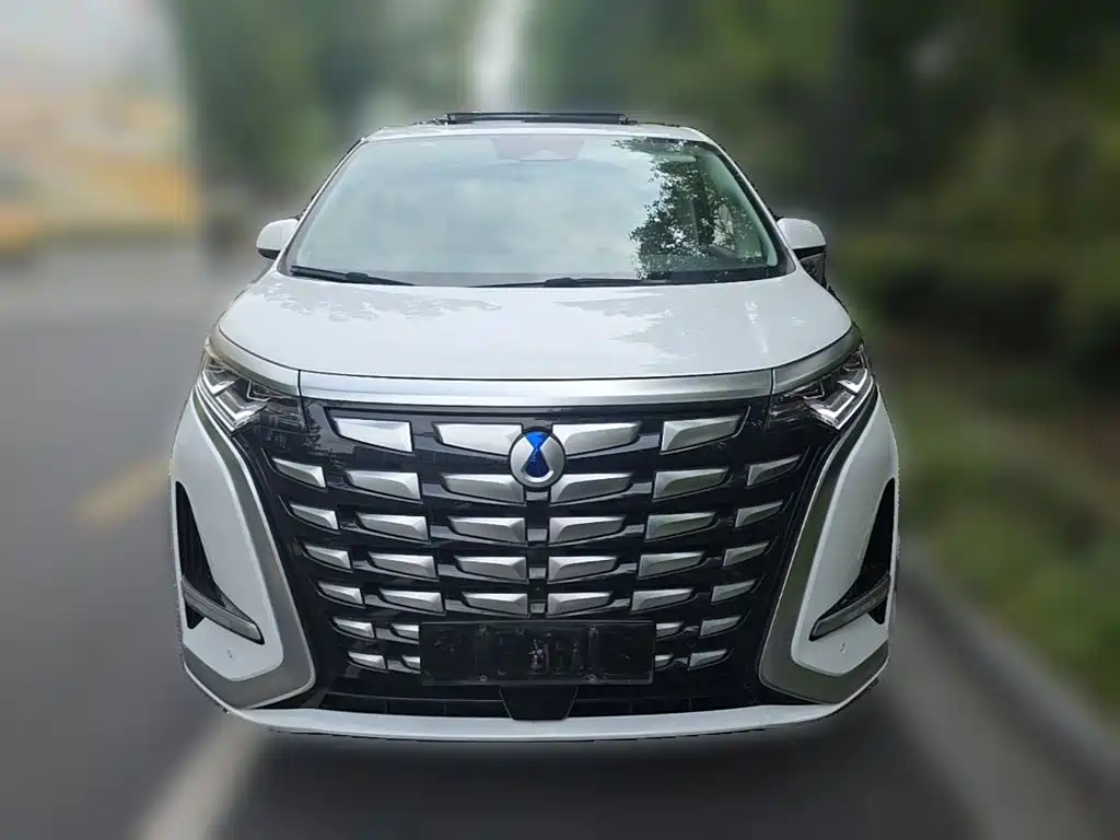 Denza Denza D9 — миниатюра 5