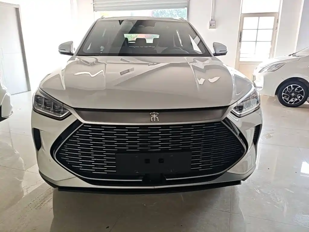 BYD PLUS New Energy — миниатюра 3